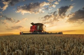 Case IH Proves that 2024 is the Year of the Combine with the Full Release of the Axial-Flow 160 and 260 Series and with Further AF Series Models to Debut in Europe Throughout 2024