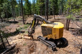 A two-part fuel reduction contract. The LX825 follows a commercial thinning designed to create a wide shaded firebreak on either side of the access road.