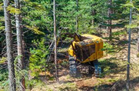 Additionally, the machine penetrates the dense forest beyond the break to remove small nonmerchantable timber and understory, enhancing forest health and resiliency.