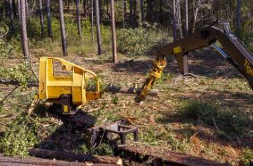 Multiple Tigercat PD26 pull-through delimber units have been undergoing extensive field testing for several months.