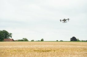 Drone seed