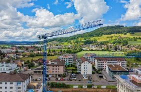 Raimondi Cranes