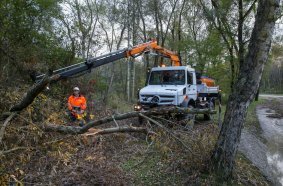 Unimog U 5023 working in the forest