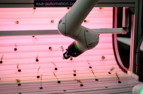 Auch Robotik kommt in der Landwirtschaft bereits zum Einsatz