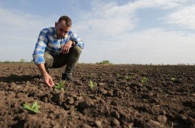 Many farmers own spot sprayers but often lack the tools to detect weeds SMALL