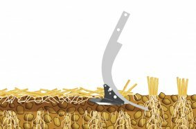 Optimum penetration, thanks to the improved undercut of the point, even in extremely dry soils.