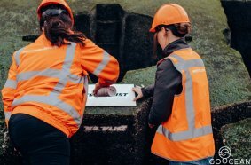 Enhancing biodiversity in the Blankenberge harbour