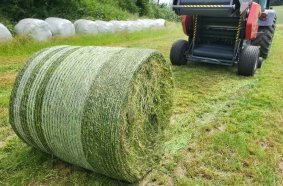 One German farm, four ROZMITAL machines