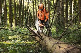 With three predefined operating modes, the new STIHL MSA 300 can be optimally adapted to different sawing tasks such as spot felling, limbing and cutting medium-thick trees to length.