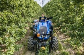 New Holland T4F S