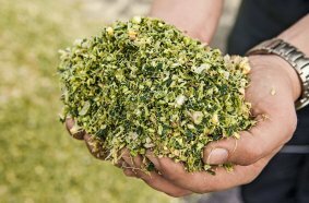 Optimised preparation and innovations for Fendt forage solutions
