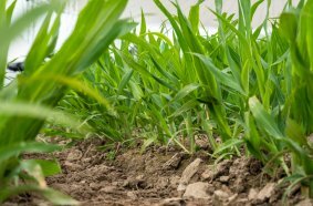 Soil Health is featured at Agritechnica 2025