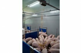 The Straw4PX and Manure4PX add-on modules from WEDA Dammann & Westerkamp enable the full integration of automatic straw dosing and slurry gate control directly into the existing process controller of the WEDA feeding system.