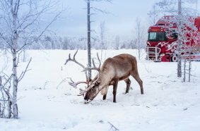 Continental Finland