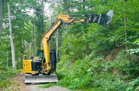 Tree pruning
