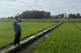 CNH equipment helps Thai rice farmer replace stubble burning - Rice Farm