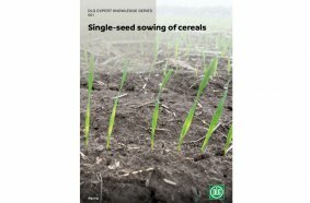 DLG Expert Knowledge: single seed sowing — Agritechnica 2025 trends included