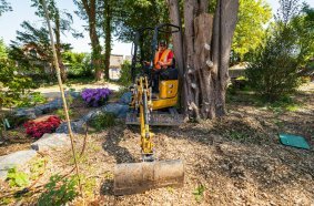 Cat® 301 CR micro hydraulic excavator
