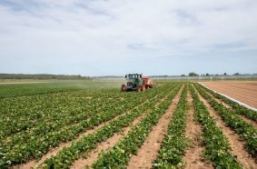 Fendt presents visions of the future at Agritechnica 2025