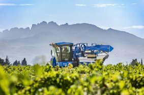 New Holland Braud compact grape harvesters