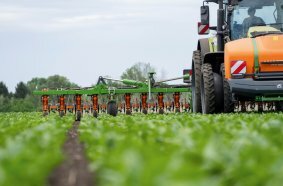 AMAZONE Venterra VR 4 for maximum impact on mechanical weed control
