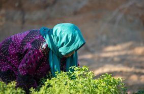 Woman in field