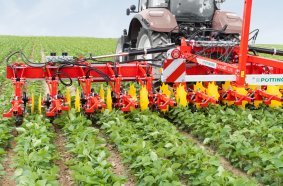 Advanced growth crops can be easily weeded using the FLEXCARE V 6200