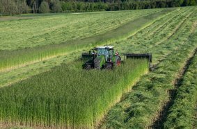 Makes the working day a pleasure. Fendt 800 Vario