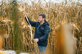 IDEAL combine harvesting system featuring technology including IDEALharvest, HarvestPlus, HeadSight | Corn and TrueSight