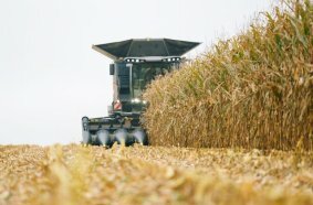 IDEAL combine harvesting system featuring technology including IDEALharvest, HarvestPlus, HeadSight | Corn and TrueSight