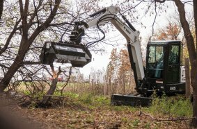 Bobcat Brushcat