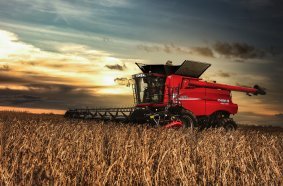Case IH Axial Flow 150 series - Harvesting on fieldwork