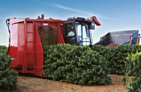 CASE IH Coffee Harvester as Game-Changer for Angolan Growers
