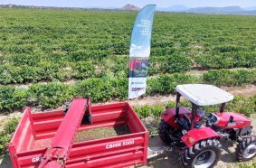 CASE IH Coffee Harvester as Game-Changer for Angolan Growers