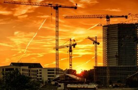 Cranes at sunset