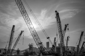 Cranes data tracking