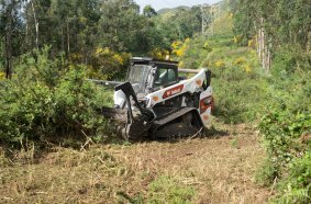 Bobcat T86 Compact Track Loader Revolutionizes Deforestation at Bodegas Marqués de Vizhoja Vineyard in Spain