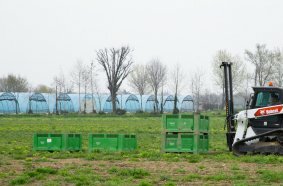 Bobcat T76 Compact Track Loader: An Irreplaceable Ally for Harvesting in the Euroverde Fields