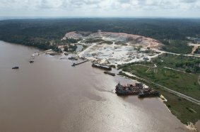 The Kleemann plants arrived in the jungle of Guyana along the Mazaruni river.