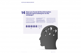 LECTURA BrandSurvey