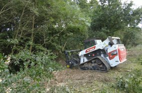 Rother Valley Tree Services Powers Ahead With Bobcat Loader