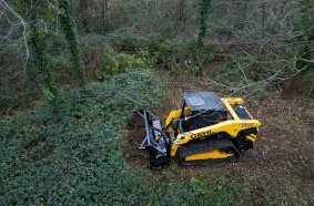 Forestry and Stone Mulcher + Gehl Skid loader VT 275