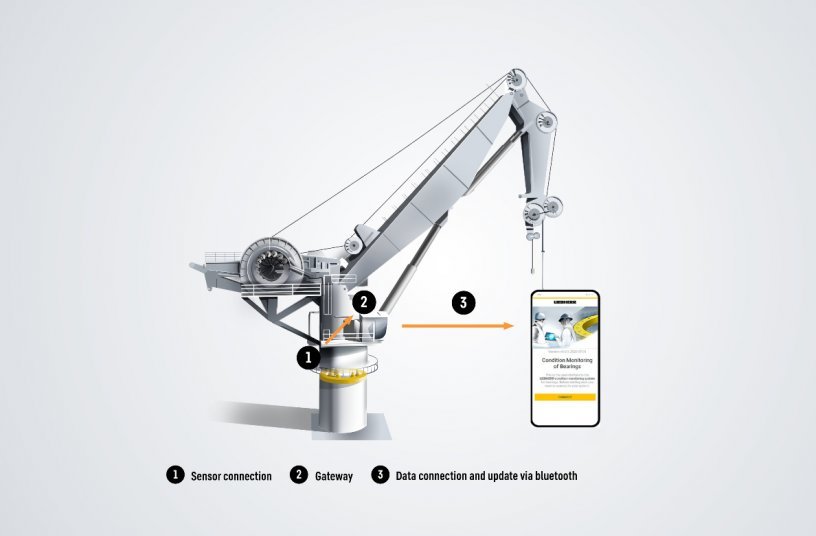 This is how Liebherr's bearing clearance monitoring system works.<br>IMAGE SOURCE: Liebherr-Components AG