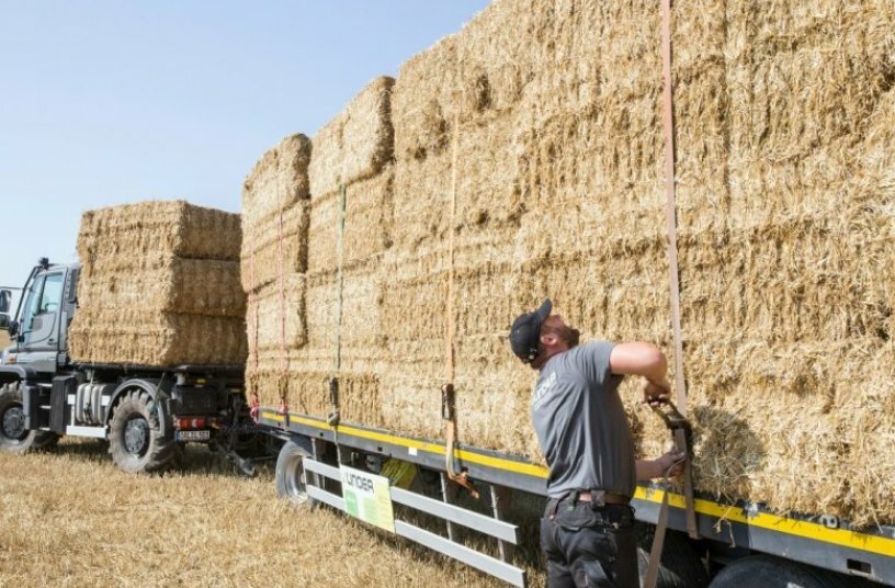 Unimog in agricultural operation<br>IMAGE SOURCE: Daimler Truck AG