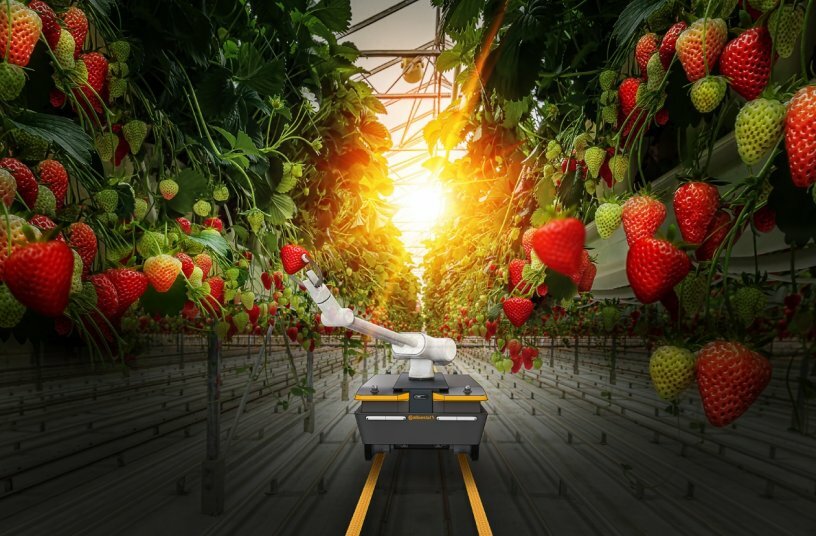 Continental’s greenhouse robotic solution consists of an autonomous robot platform as the carrier for various implements to fulfill a variety of tasks such as selective harvesting.<br>IMAGE SOURCE: Continental