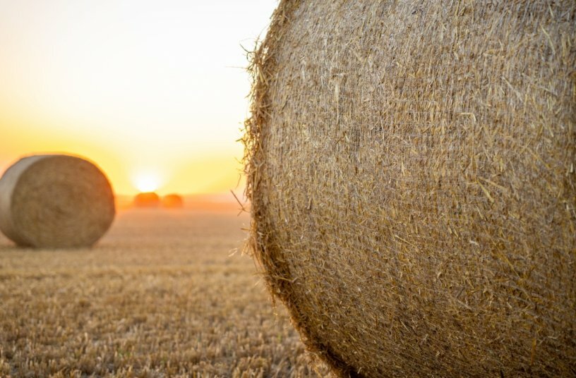 Nature's Net Wrap<br>BILDQUELLE: New Holland Agriculture