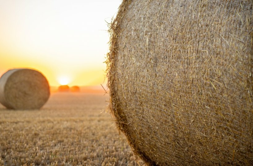 Nature's Net Wrap<br>IMAGE SOURCE: New Holland Agriculture
