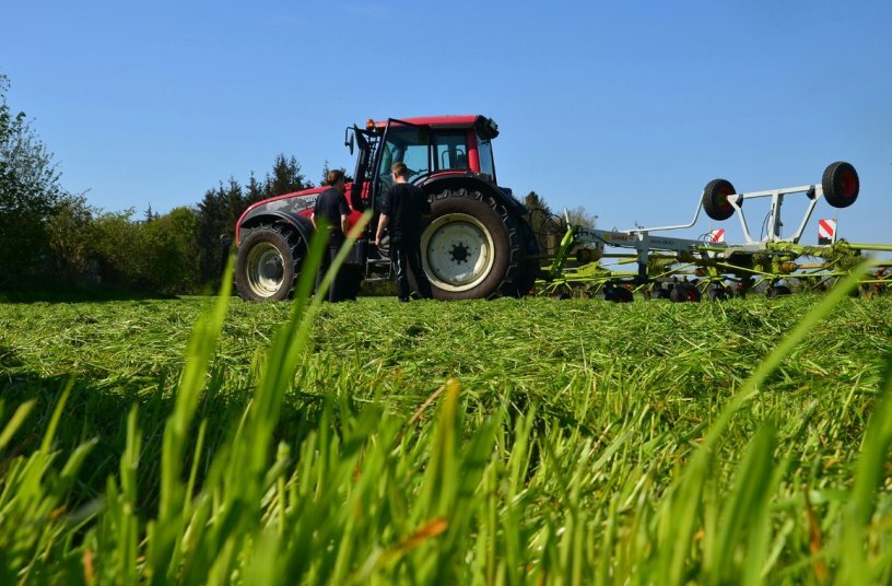 Grassilage<br>BILDQUELLE: Prof. Dr. Katrin Mahlkow-Nerge