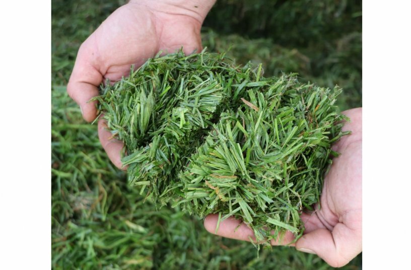 22 mm cutting length for maximum fodder quality.<br>IMAGE SOURCE: B. Strautmann & Söhne GmbH u. Co. KG