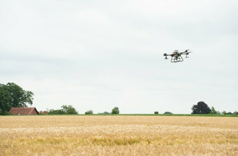 Drone seed<br>IMAGE SOURCE: SAATEN-UNION GmbH
